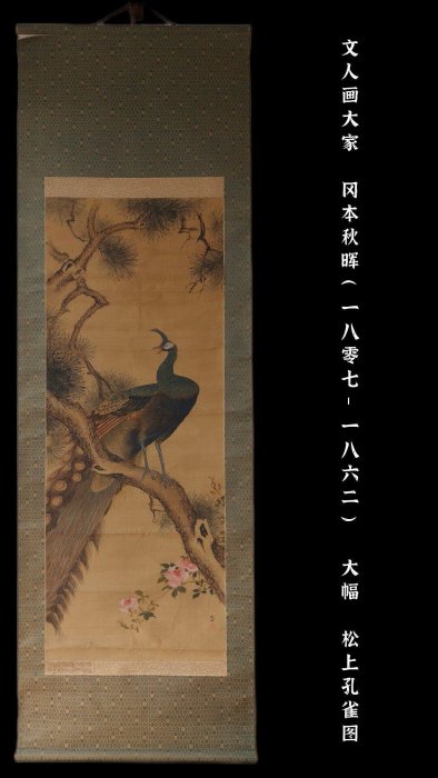 岡本秋暉松上孔雀圖大幅手繪高級手工裝裱清代中期國畫文人茶室掛軸松上