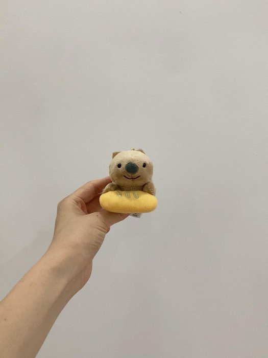 嚴選中古稀有款咖色小豚鼠卡皮巴拉毛絨玩偶掛件，臉超萌巨可愛，隨單贈Attention Keychain 孤品系列 毛絨玩具 掛件