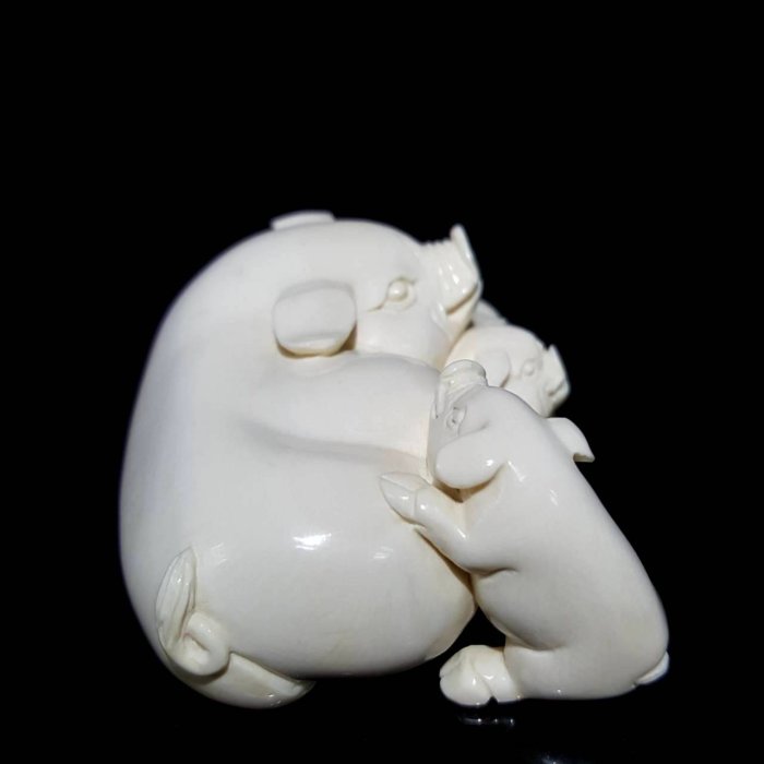 【昊】本象牙 一本牙 全長75.0cm 重量6.20kg 登録票[DK37Oi] 本象牙 磨き牙 6.5kg 限定１ー 三宝堂オンラインショップ