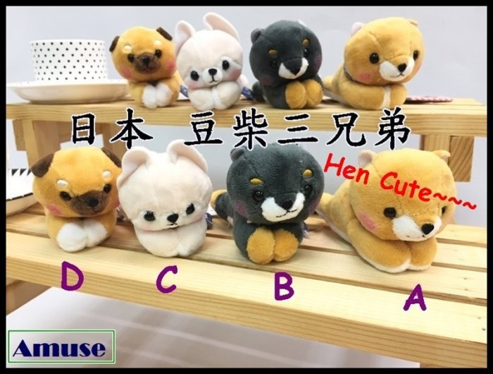 日本Amuse 豆柴 三兄弟 柴犬娃娃 柴犬玩偶 豆柴 黑柴 娃娃 黃柴 趴姿 擺件 扣夾 包包 吊飾 聖誕禮物