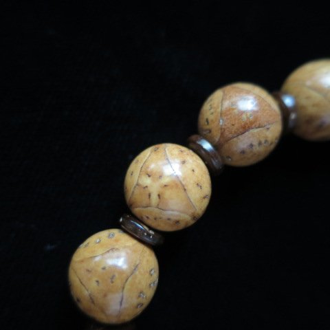 覺品＊【西藏瑪瑙天珠+三角龍眼菩提子手珠】10.5mm/轉運改變能量(附