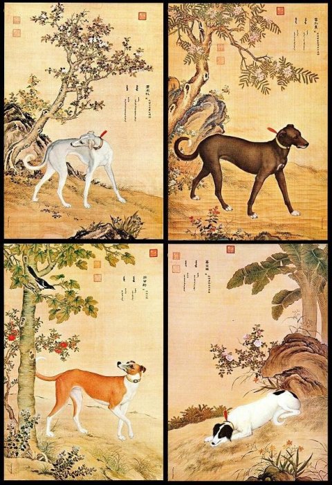 KK郵票】《原圖卡》故宮博物館印行「清郎世寧畫十駿犬圖」大型原圖卡