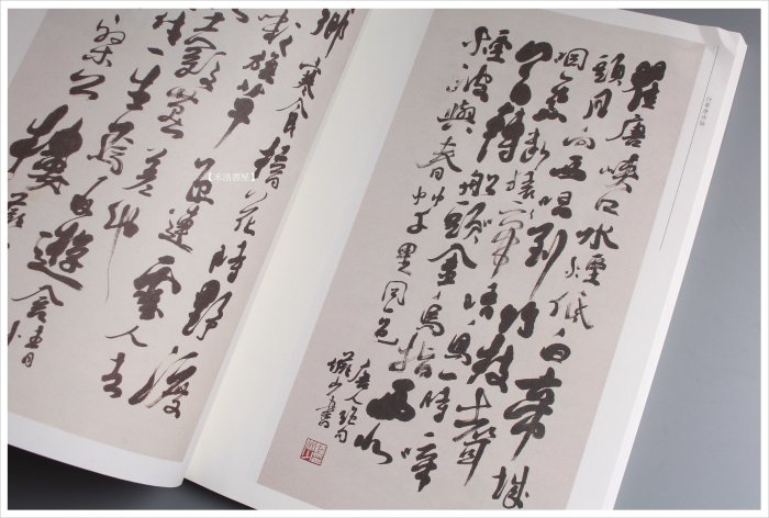 禾洛書屋】陸儼少書法集(福建美術出版社)〈彩色印刷〉草書/書法作品集
