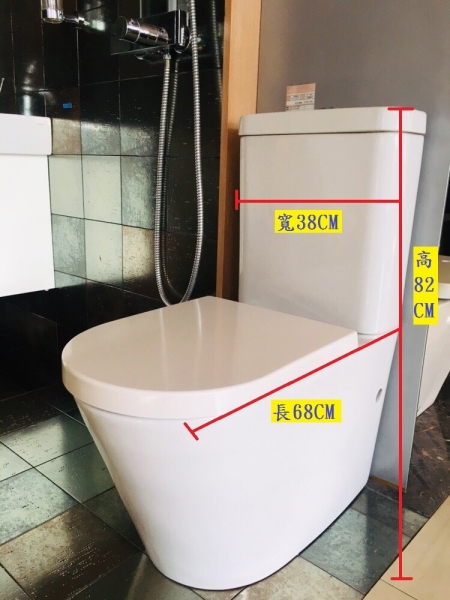 【麗室衛浴】德國高級GEBERIT ETERNITY 2 系列 雙體馬桶 A-194 product lightbox image 7