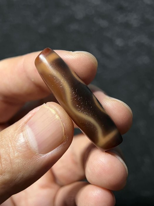 御幸天珠 B04254 双亀寿天珠 二眼天珠 26x19mm 老夫婦の亀