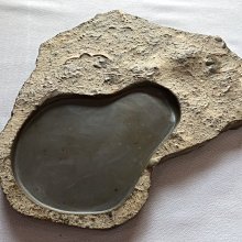 明治時代 貝食硯 化石硯 国産化石 天然石 自然石 銘硯 和硯 WWFT020 明治時代 貝食硯 化石硯 国産化石 天然石 自然石 銘硯 和硯