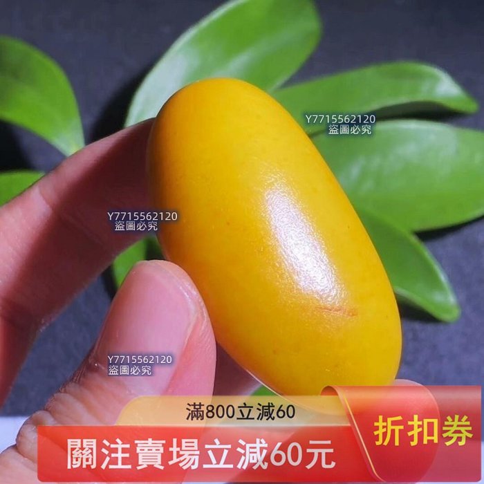 新疆和田玉黃沁（鳮油黃）籽料原石籽型完整飽滿老熟細膩油糯毛孔清晰自
