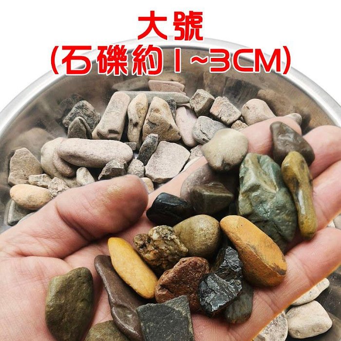 【珍愛頌】N822 溪流石 500g 川藏砂 魚缸造景 水族裝飾 魚缸底砂 水族鋪缸 天然原生石塊 水族箱 石景 溪石