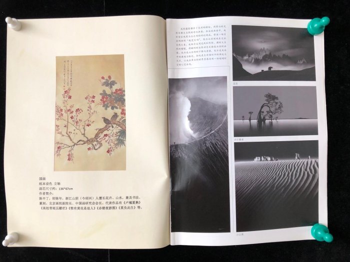 雜330【陳半丁】花鳥，四尺手繪作品帶雜志書，裝裱好尺寸：225*88cm