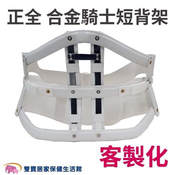 正全 鐵背架 合金騎士短背架 客製化商品 護腰 軀幹護具 合金背架 腰部護具 合金護具