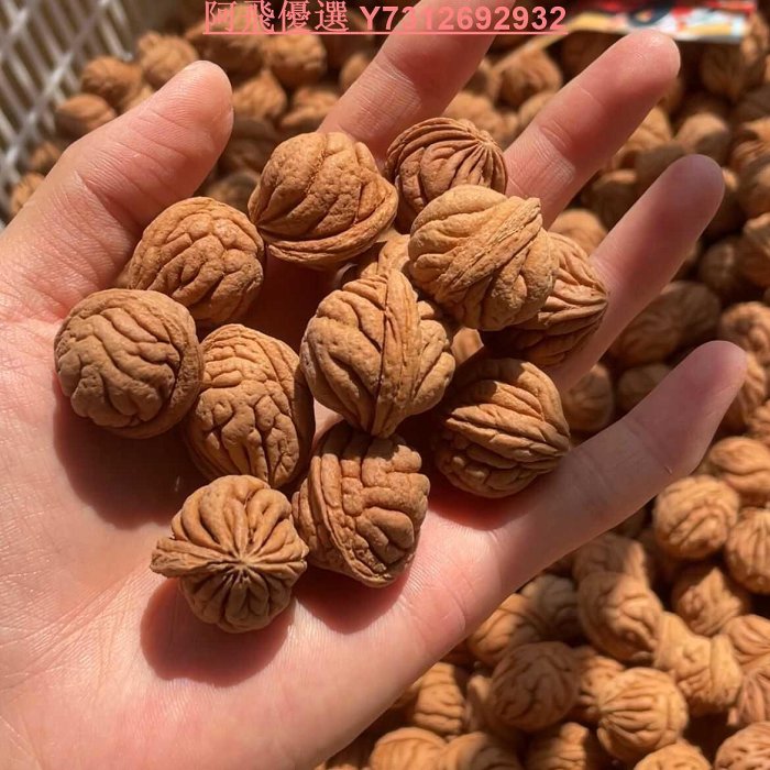 核桃霸王龍的價格推薦- 2026年5月| 比價比個夠BigGo