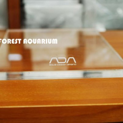 その他 ADA MAINTENANCE STAND CLEAR その他 ADA MAINTENANCE STAND