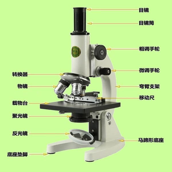 5Cgo【權宇】鳳凰XSP-06-1600X 生物顯微鏡1600倍單目生物顯微鏡