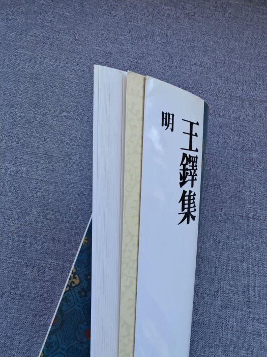 嚴選日本原版二玄社字帖《王鐸集》，專業推薦中國法書學習之選，附77頁