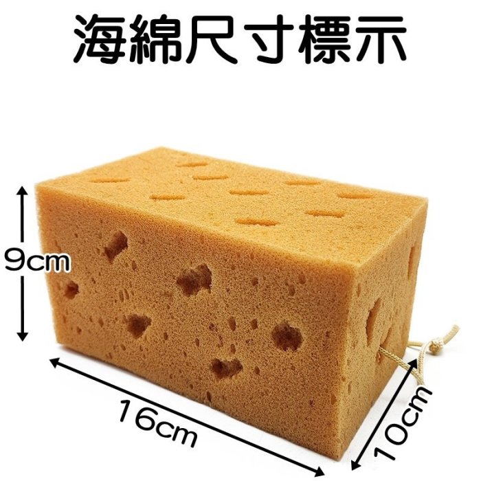 【珍愛頌】C048 加厚型 9CM 珊瑚海綿 洗車海綿 擦車海綿 泡沫海棉 吸水海棉 蜂窩狀 浴室清潔 汽車清潔 擦車