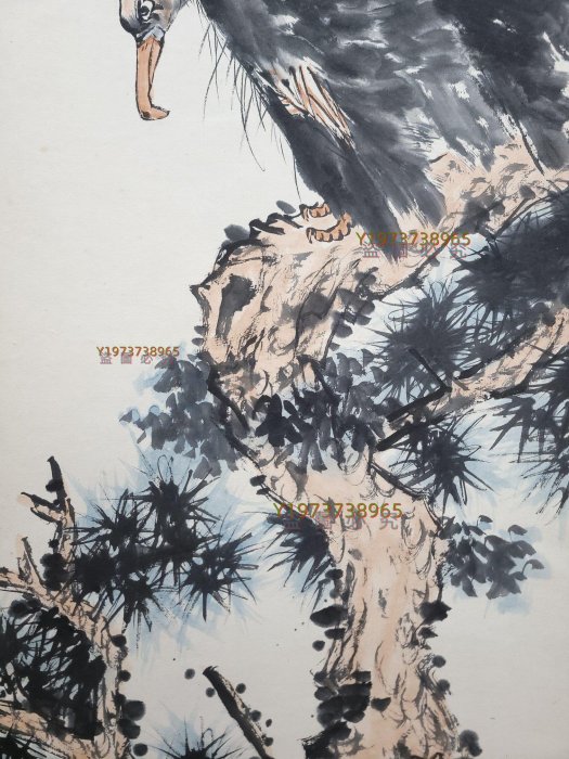 潘天壽 禿鷲 A-6 潘天壽精品紙本禿鷲圖立軸畫心尺寸34.5x106.5cm 【漢矜閣】-12684