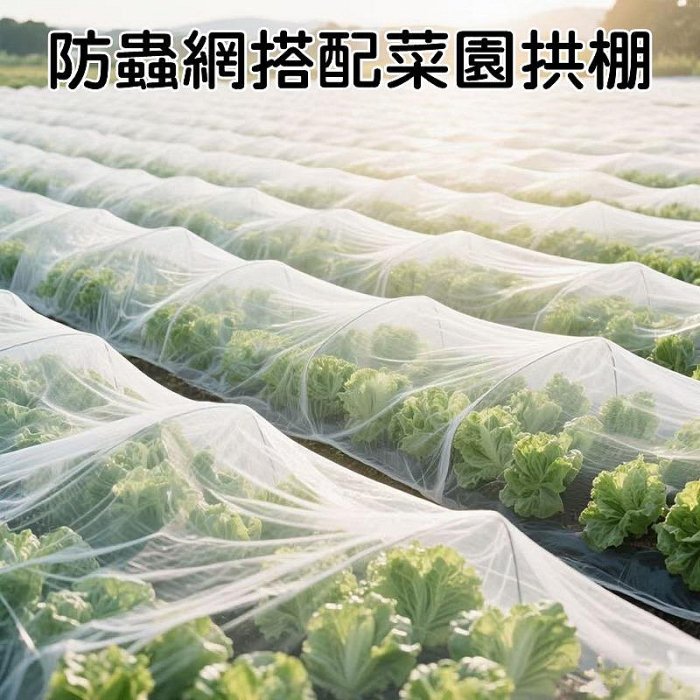 【珍愛頌】N750 全新料 防蟲網 40目 60目 防蚊網 大棚防蟲網 防鳥網 菜網 蔬菜網 防果蠅 白紗網 紗窗網