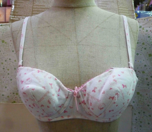 【震撼精品百貨】Hello Kitty 凱蒂貓~KITTY內衣褲-內衣-粉愛心75B