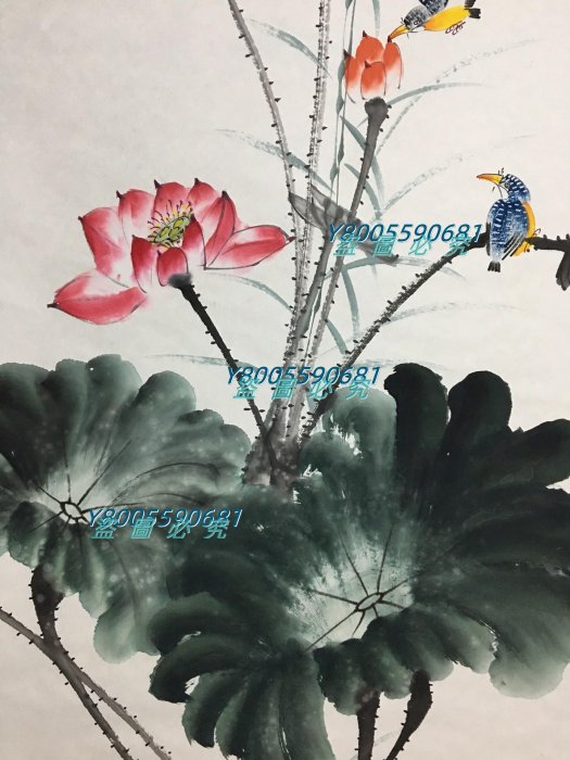 四尺中堂畫荷花鳥(荷塘清趣）裱好尺寸高*寬171cm*73cm畫芯尺