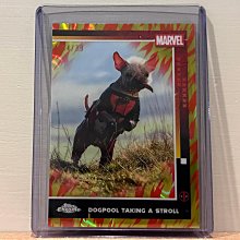 2025 Topps Chrome Marvel Deadpool Dogpool 火紋亮特卡/39 值得收藏