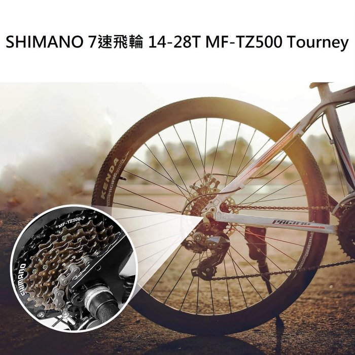 意生》SHIMANO 七速鎖牙式定位飛輪14-34T MF-TZ500-7 MEGARANGE