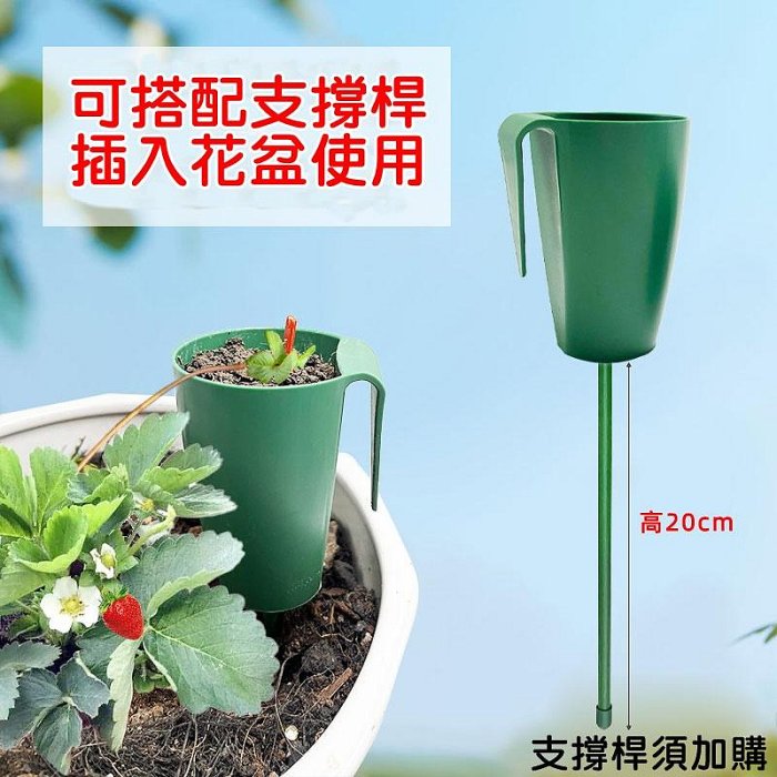 【珍愛頌】N412 草莓育苗杯 草莓種殖杯 外掛草莓育苗盆 草莓繁殖杯 草莓走徑繁殖杯 育苗杯 掛壁式繁殖杯 多肉育苗杯