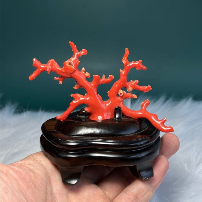 【セール❗️】天然アップル珊瑚　置物 Coral 赤珊瑚置物 (No.45918) – JEX宝石ギャラリーオンラインショップ