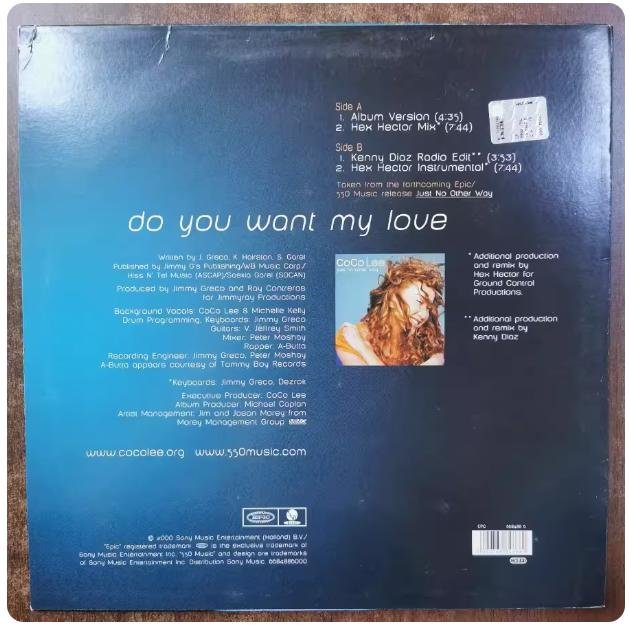 CoCo Lee do you want my love 12inch レコード CoCo Lee - Do You Want My Love: 12