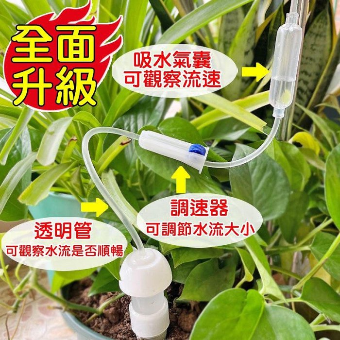 【珍愛頌】N097 加長款 滲水器 2入 自動澆花器 澆水器 滴灌器 施肥器 陶瓷滴頭 懶人澆花器 盆栽 花卉 自動澆水