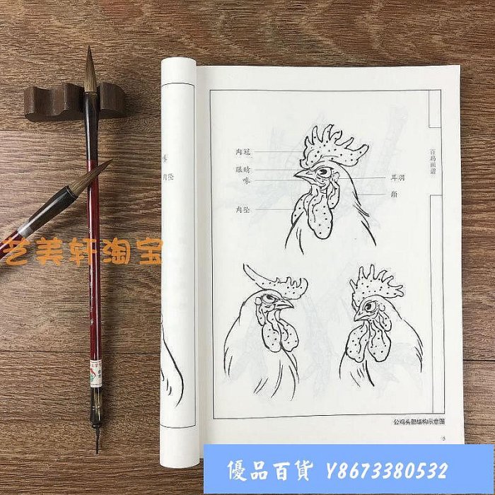 百雞畫譜中國畫線描優選白描國畫技法工筆鄧文欣臨摹入門基礎教程滿258