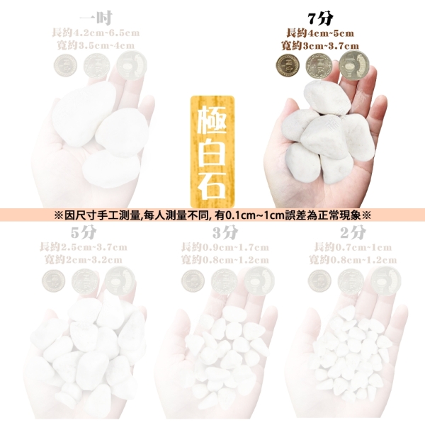 綠藝家】極白石7分(漢白玉)3公斤分裝包- 極白石鵝卵石漢白玉特白石石頭