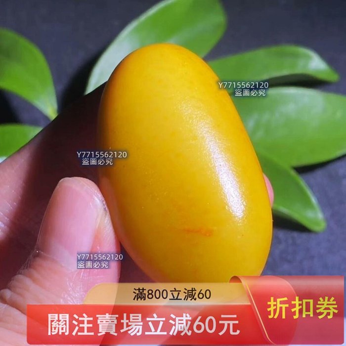 新疆和田玉黃沁（鳮油黃）籽料原石籽型完整飽滿老熟細膩油糯毛孔清晰自