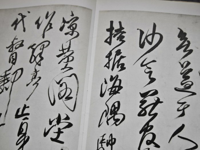 嚴選二玄社《中國法書選55 - 傅山集》平裝61頁珍藏字帖，品相極佳適合