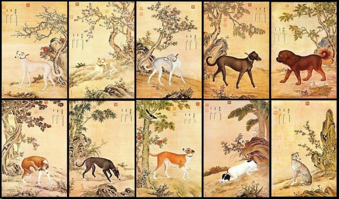 郎世寧 犬圖 清郎世寧畫十駿犬雪爪盧軸- 故宮