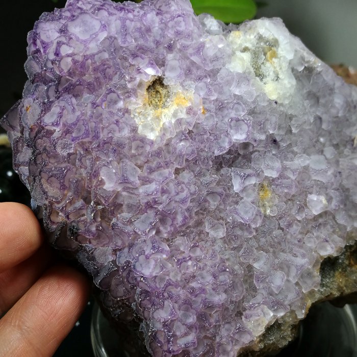 友克鑫礦業]fd109約重1490g貴州紫框螢石螢石原礦邊框螢石Fluorite翡冷