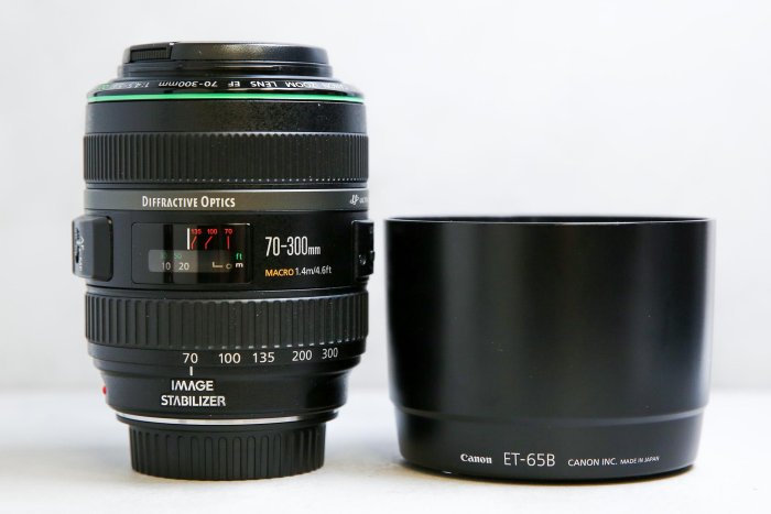 【台南橙市3C】Canon EF 70-300mm F4.5-5.6 DO IS USM  二手鏡頭 小綠 #98248