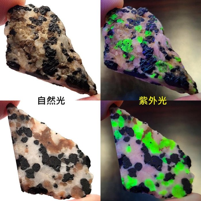 原礦屋*** 九龍夜明珠！珍稀螢光礦物！A級美國紐澤西州矽鋅礦原礦5.43g