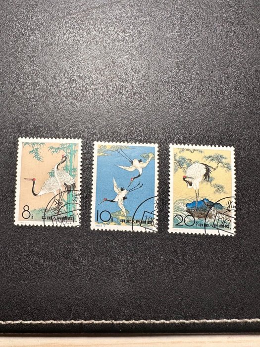 特48 丹頂鶴的價格推薦- 2025年12月| 比價比個夠BigGo