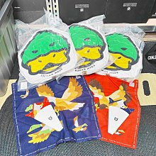 希望商店】HUMAN MADE DUCK FACE CUSHION 22SS 愛心綠頭鴨鴨子抱枕
