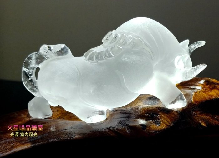 水晶牛-優惠推薦2026年6月| Yahoo拍賣