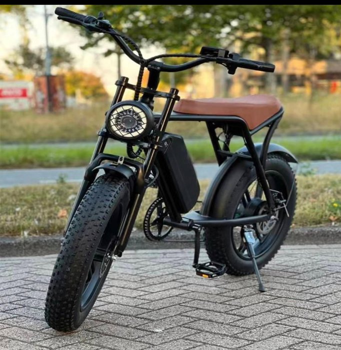 ATR1電動腳踏車 胖胖胎腳踏車 台灣保固現貨