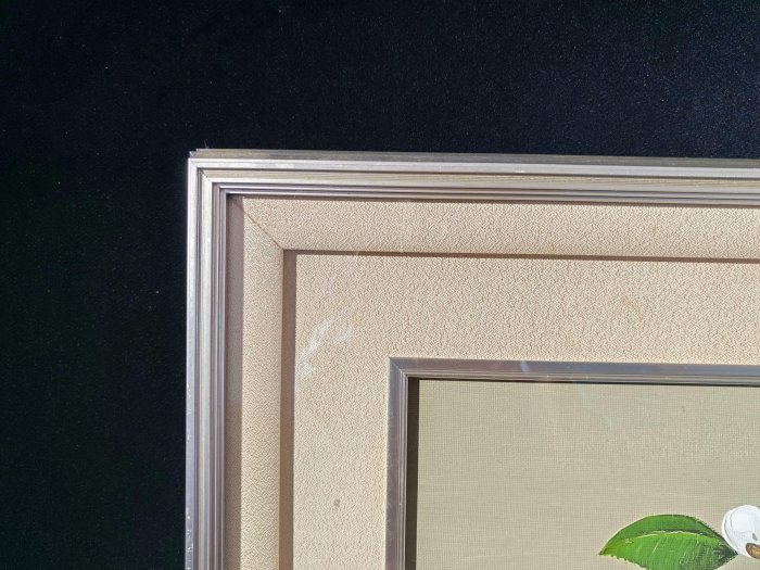 西村佳津子油畫椿白色山茶花插藍色漸變瓶構圖高雅工藝裝裱完美品相還原