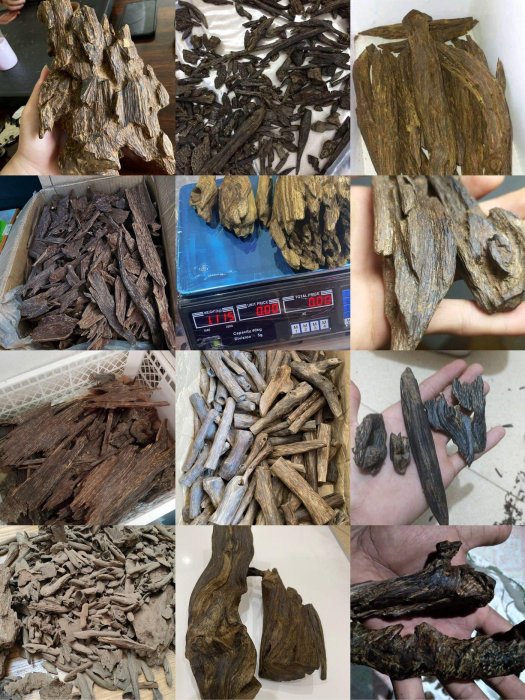 高價全省（收.購）沉香沈香奇楠棋楠伽羅檀香老山| Yahoo拍賣