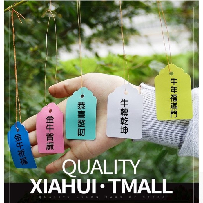 【珍愛頌】N073 PVC防水 (大號) 植物掛牌 100片 植物名牌 植物標籤 植物吊牌 花卉掛牌 花卉吊牌 多肉吊牌