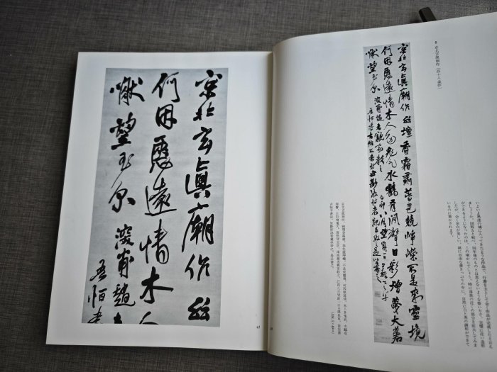 嚴選1984年日本二玄社王鐸書法條幅，內頁保存良好，附臨摹名帖王鐸字帖