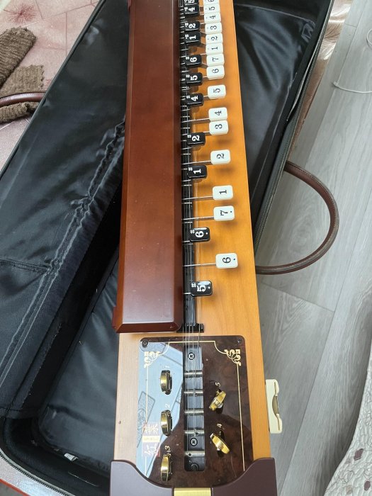 日本中古SUZUKI紅葉大正琴帶電子兩用大正琴天花