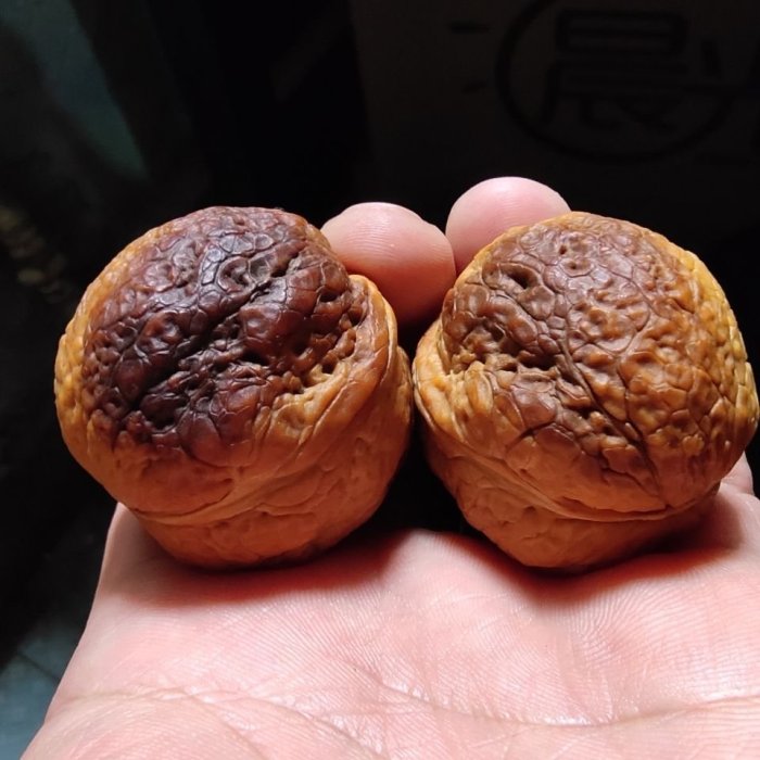 文玩鐵核桃,文玩核桃金蟾蛤蟆頭,云南野生鐵核桃,手玩把件,正版