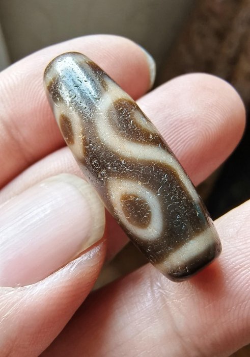 嚴選天緣法螺四眼天珠，尺寸34.5x11mm，風化自然飽和，適合收藏把玩天