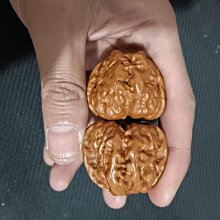 嚴選文玩核桃·蛤蟆頭青皮連體平皮41號4開背，品質上乘適合收藏家佩戴