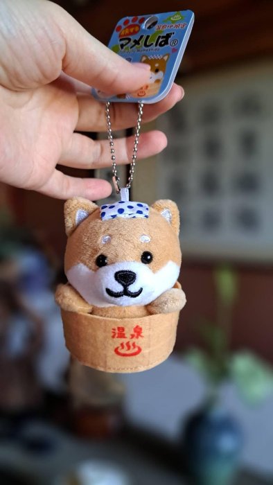 ☻日本豆柴君 ☻旅するマメしば ☑日本購回 ☑棕豆豆柴君『溫泉系列』 柴犬吊飾 擺飾 絨毛玩偶 可愛收藏品 | Yahoo拍賣